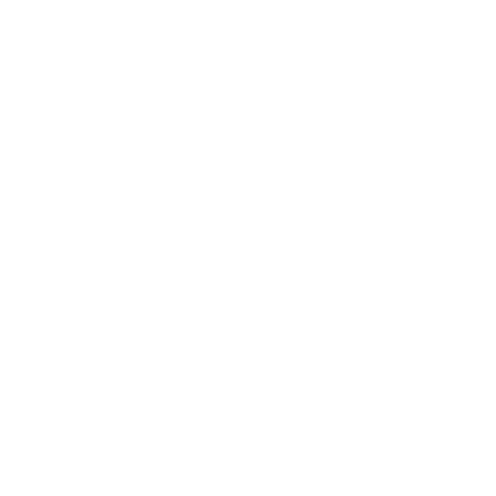METALÚRGICA ZOL